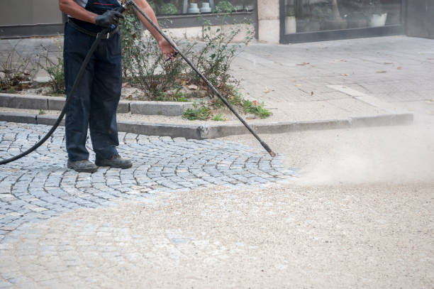 Best Driveway Pressure Washing  in Larimore, ND
